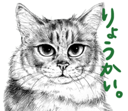 Chacha and pleasant friends sticker #5246850