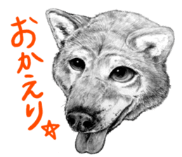 Chacha and pleasant friends sticker #5246851