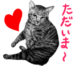 Chacha and pleasant friends sticker #5246852