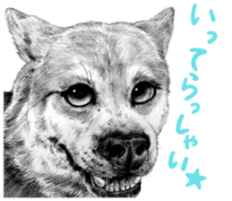 Chacha and pleasant friends sticker #5246853