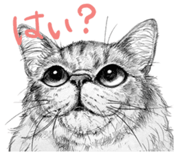 Chacha and pleasant friends sticker #5246855