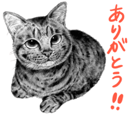 Chacha and pleasant friends sticker #5246857