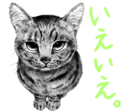 Chacha and pleasant friends sticker #5246859