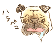 kumi sticker sticker #5249540