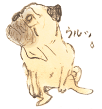 kumi sticker sticker #5249541