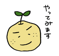 Kinomi kinomama Kinomi-kun sticker #5250062