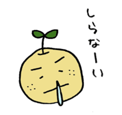 Kinomi kinomama Kinomi-kun sticker #5250065