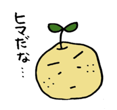 Kinomi kinomama Kinomi-kun sticker #5250067