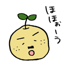 Kinomi kinomama Kinomi-kun sticker #5250070