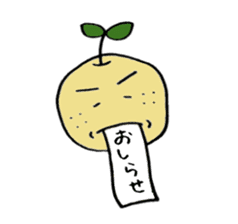 Kinomi kinomama Kinomi-kun sticker #5250073