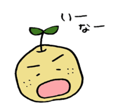 Kinomi kinomama Kinomi-kun sticker #5250084