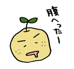Kinomi kinomama Kinomi-kun sticker #5250093