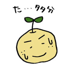 Kinomi kinomama Kinomi-kun sticker #5250097