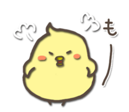 For a short time chicks sticker #5251482
