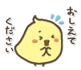 For a short time chicks sticker #5251490