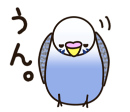 budgerigar! [Ver2] sticker #5251740