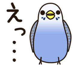 budgerigar! [Ver2] sticker #5251744