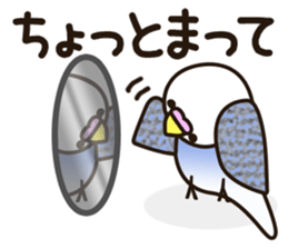 budgerigar! [Ver2] sticker #5251767