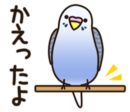 budgerigar! [Ver2] sticker #5251773