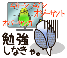 budgerigar! [Ver2] sticker #5251774
