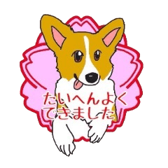 fanny dog HIROSHI