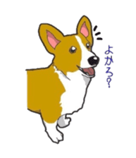 fanny dog HIROSHI sticker #5253028