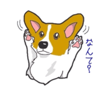 fanny dog HIROSHI sticker #5253033