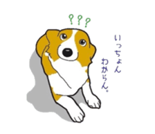 fanny dog HIROSHI sticker #5253034