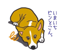 fanny dog HIROSHI sticker #5253035