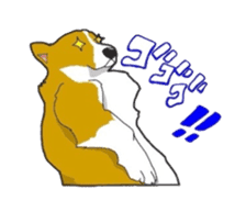 fanny dog HIROSHI sticker #5253037