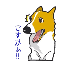 fanny dog HIROSHI sticker #5253047