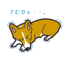 fanny dog HIROSHI sticker #5253050