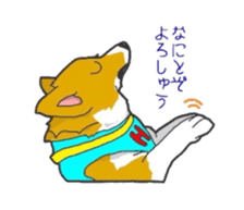 fanny dog HIROSHI sticker #5253056