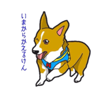 fanny dog HIROSHI sticker #5253057