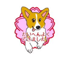 fanny dog HIROSHI sticker #5253059