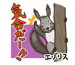 Animal doctor sticker #5253260