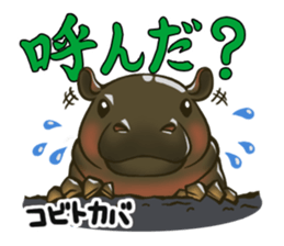 Animal doctor sticker #5253263