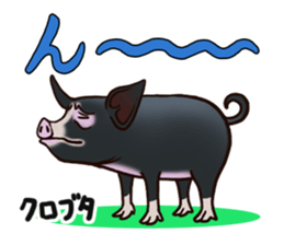 Animal doctor sticker #5253275