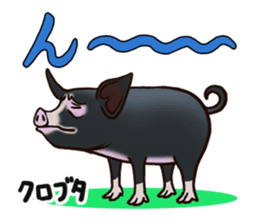 Animal doctor sticker #5253275