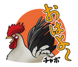 Animal doctor sticker #5253285