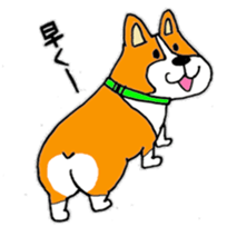 I am corgi sticker #5254467