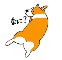 I am corgi sticker #5254483