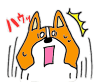 I am corgi sticker #5254489