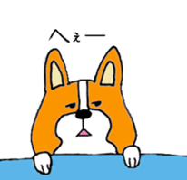 I am corgi sticker #5254492