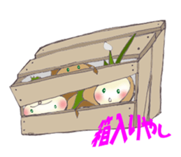 Onion of the ball sticker #5259317