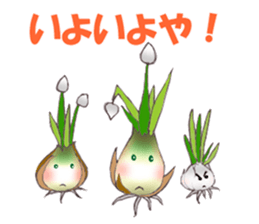 Onion of the ball sticker #5259329