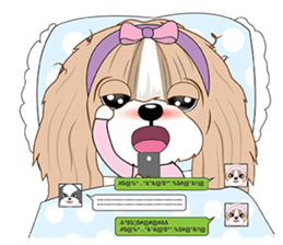 Shih Tzu YoYo sticker #5259470
