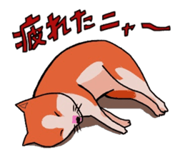 Wow lazy animals sticker #5262772