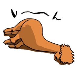 Wow lazy animals sticker #5262776