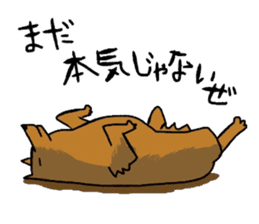 Wow lazy animals sticker #5262787